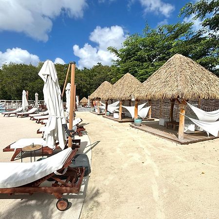 La Ruche De Maia - Blue Dream Beach - Piscine - Jardin - Plage Grand-Bourg  Luaran gambar