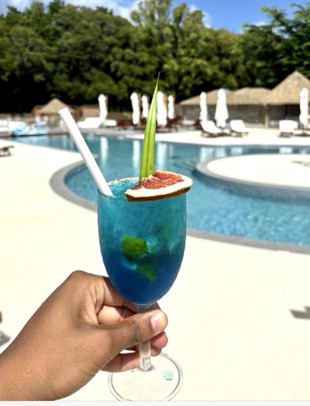 La Ruche De Maia - Blue Dream Beach - Piscine - Jardin - Plage Grand-Bourg  Luaran gambar
