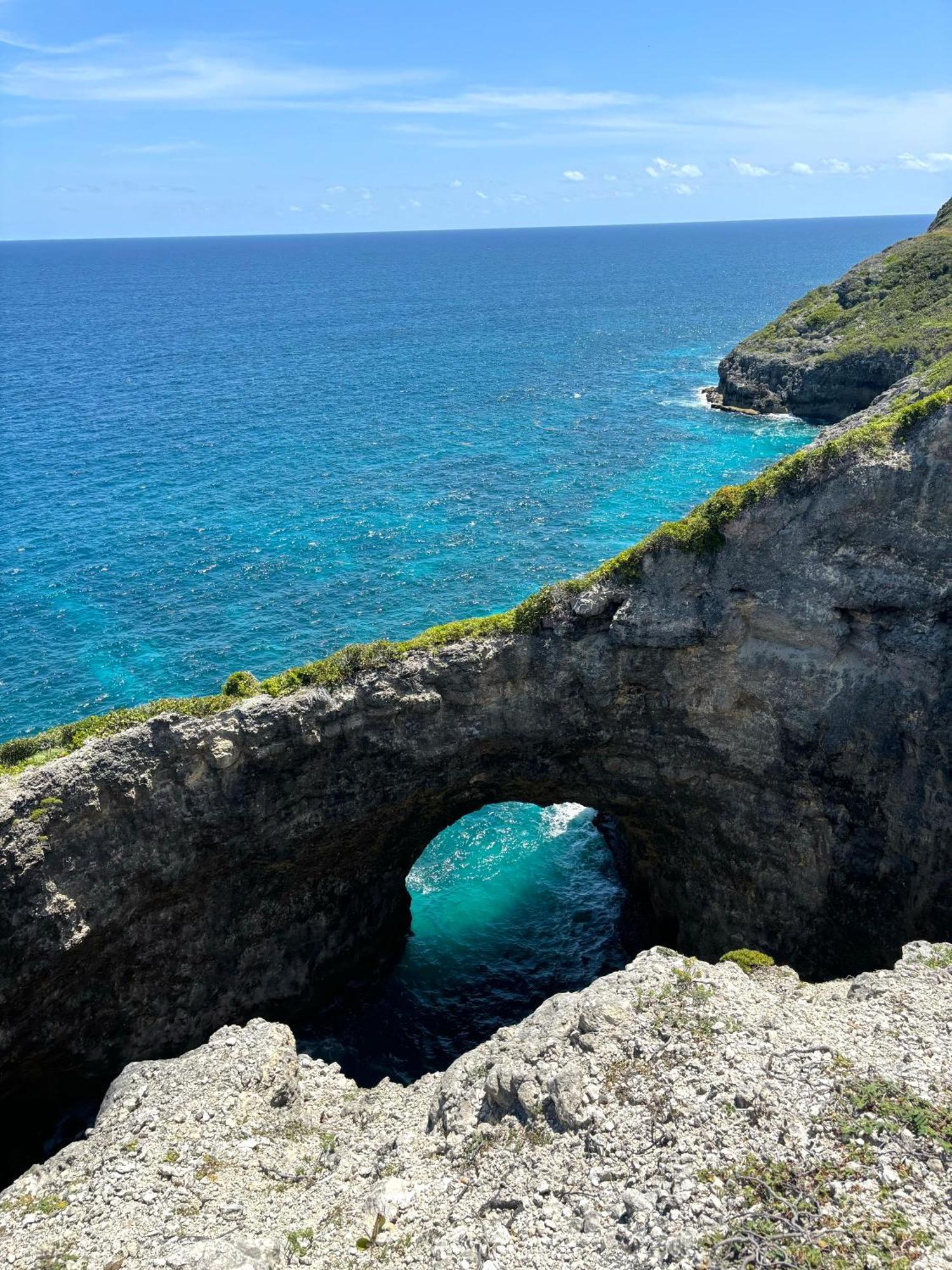 La Ruche De Maia - Blue Dream Beach - Piscine - Jardin - Plage Grand-Bourg  Luaran gambar